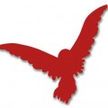 Logo RnS Spirito Santo